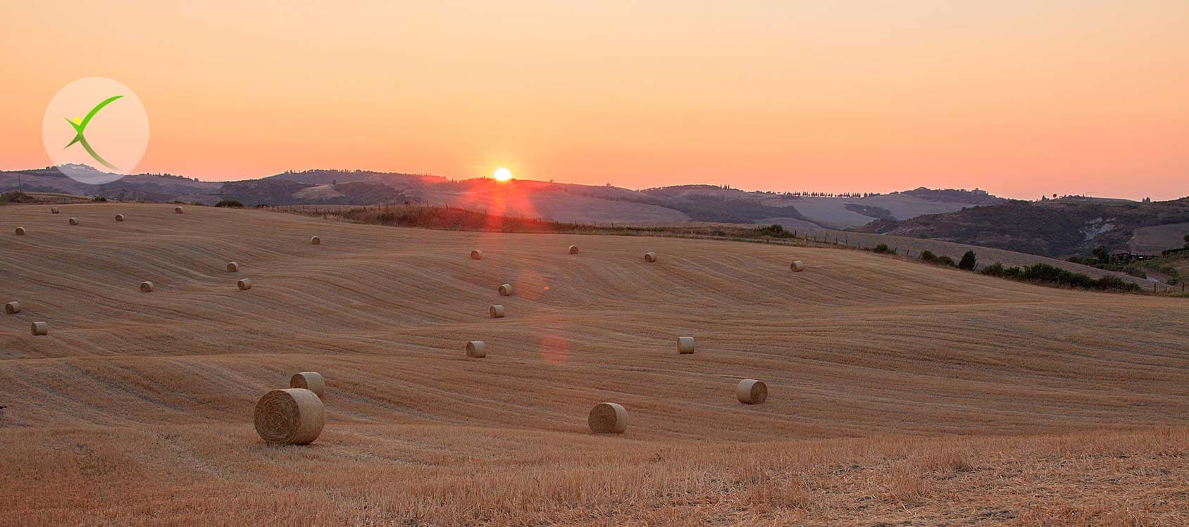 Il grano della Val d'Orcia