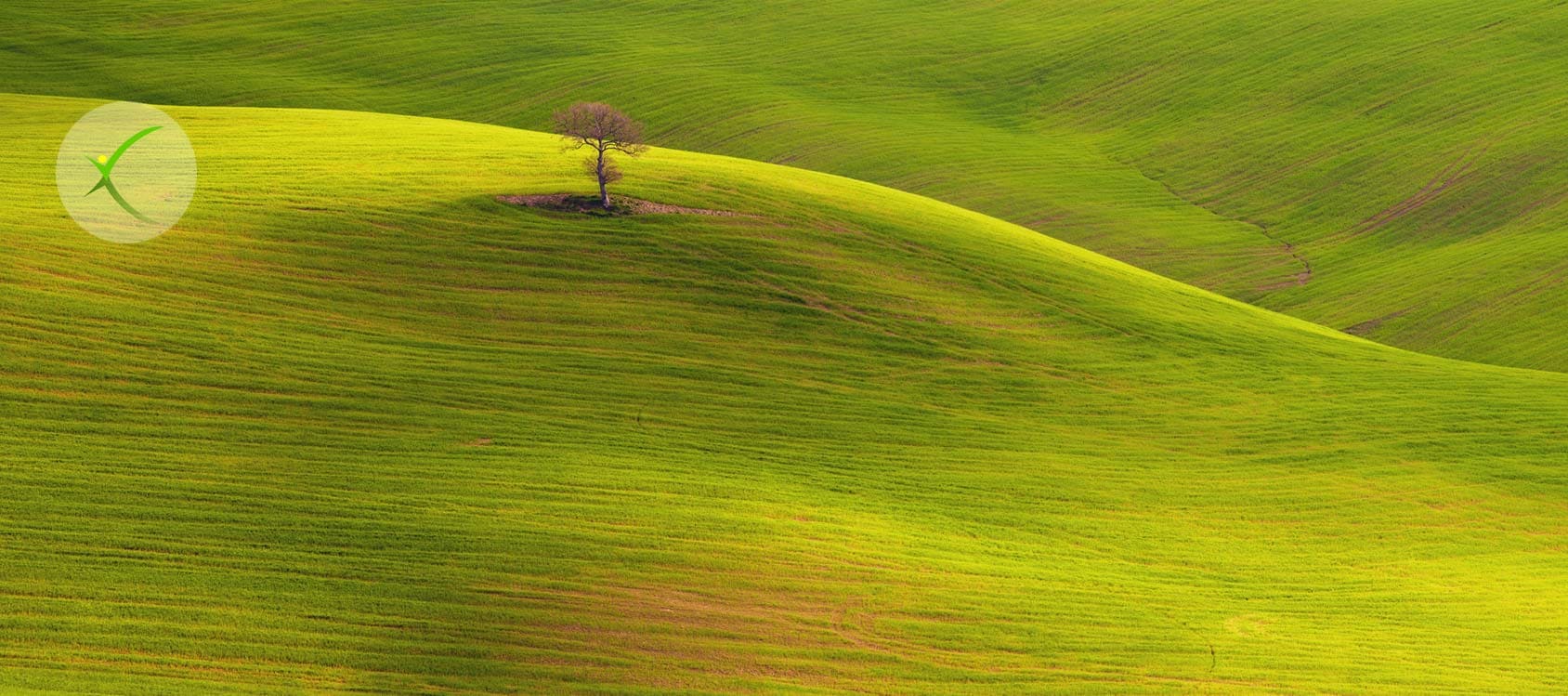 I prati della Val d'Orcia