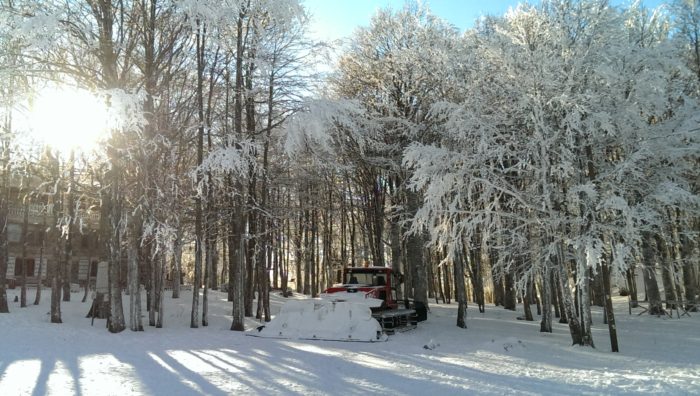 Situazine neve Amiata in tempo reale