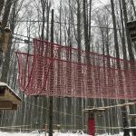 Indiana Park the rope bridge