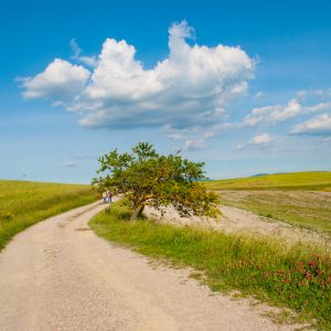 Cappella della Madonna di Vitaleta percorso