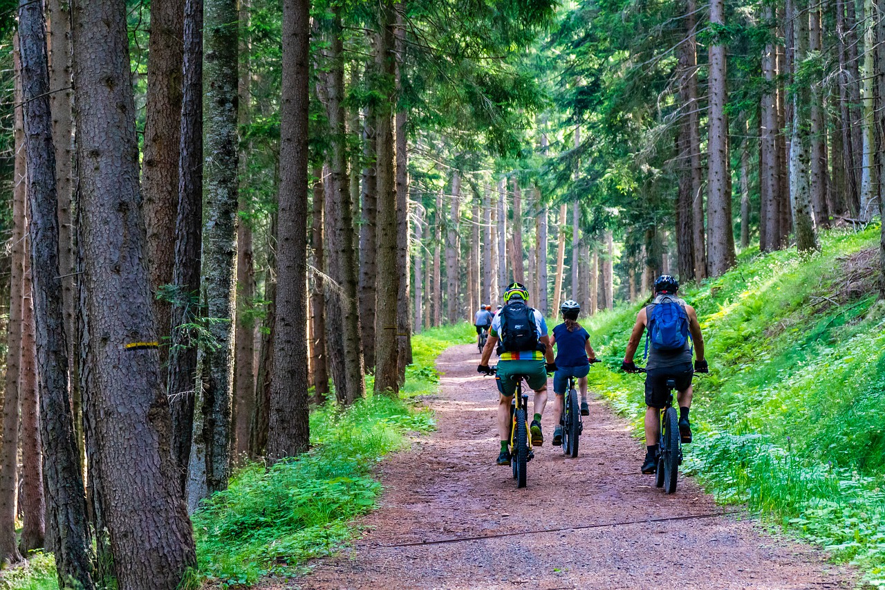 E-Bike in Amiata e Val d'Orcia