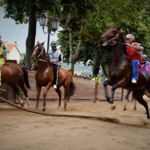 palio delle contrade palio delle contrade la mossa