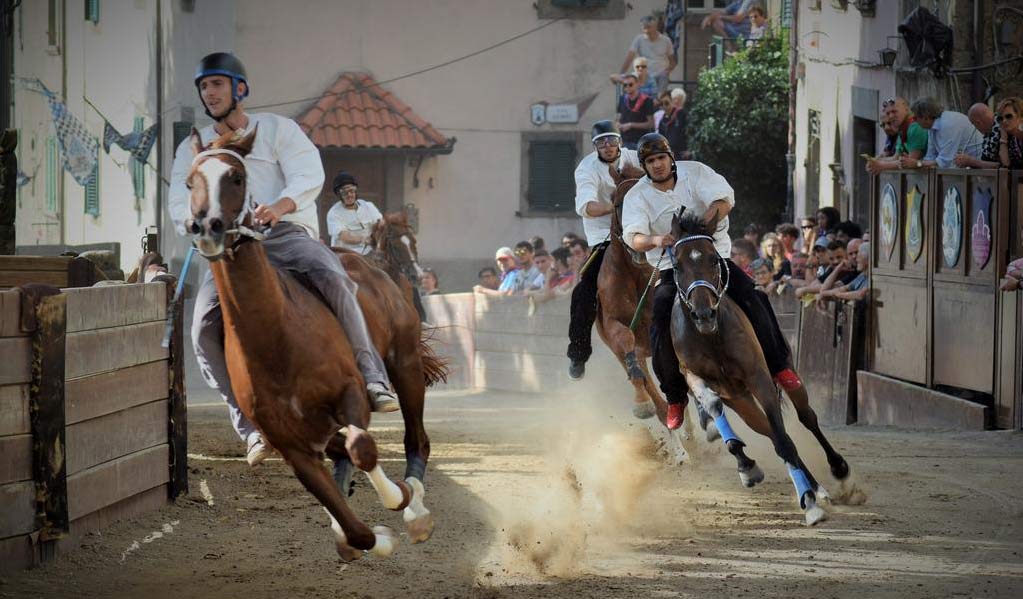 palio delle contrade Castel del Piano