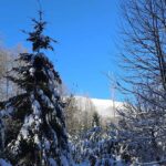 Neve Amiata