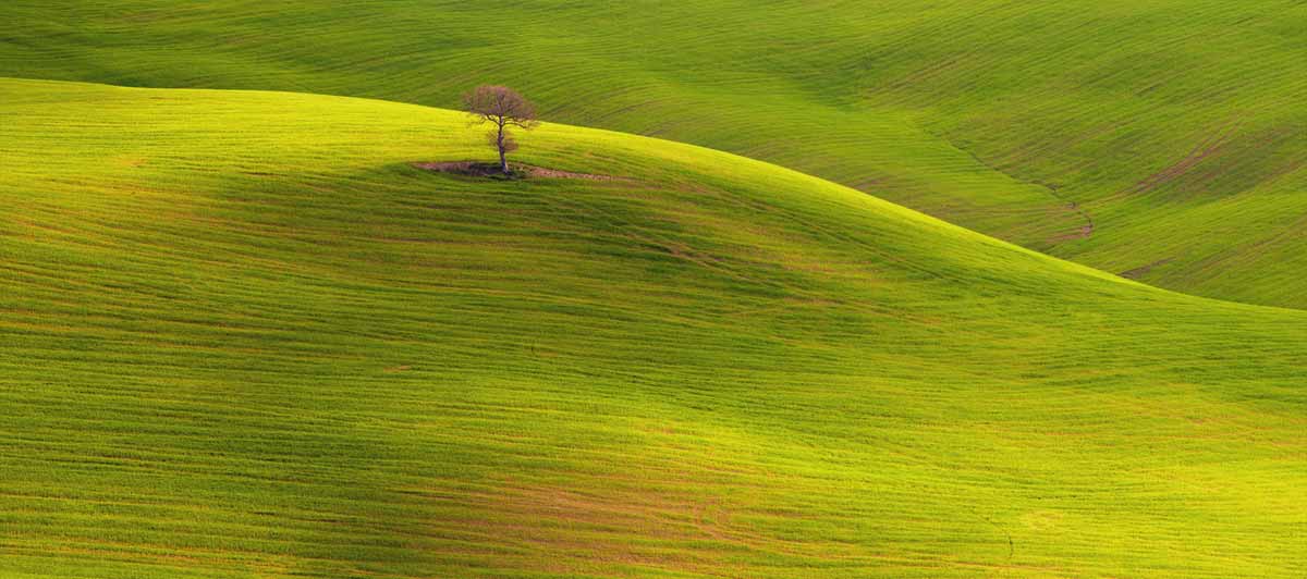 Le colline della Val d'Orcia