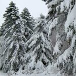 Neve al primo rifugio amiatino
