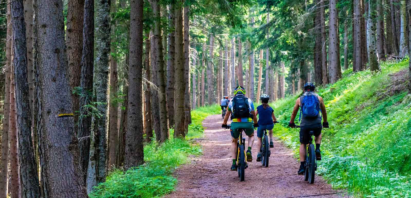 e-bike-amiata-val-d-orcia e-bine Mount Amiata and Val d'Orcia