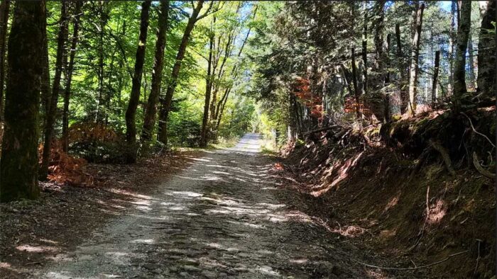 Il cammino del vulcano Amiata