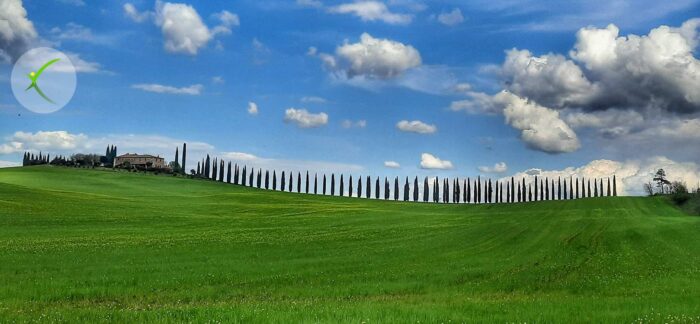 Val d'Orcia Landscapes