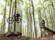 Amiata Freeride dal 16 Maggio