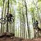 Amiata Freeride dal 16 Maggio