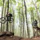 Amiata Freeride dal 16 Maggio