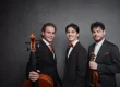 Trio Concept Amiata
